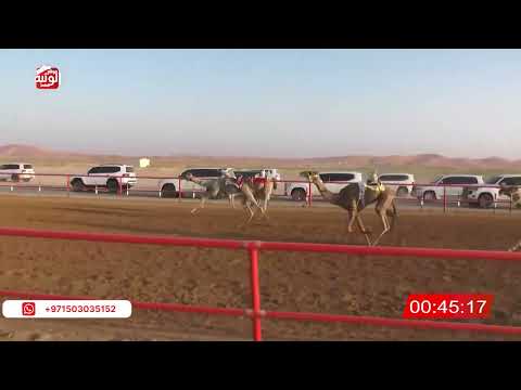  ش 13 (لاهوب) لـ محمد سلطان بن عبدالله الدرعي 2:12:14 ، شارة الصندوق 2026/05/09 فطامين الرقيعات