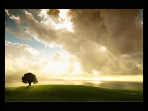 Luke Chable - The Shepherd (Original Mix)