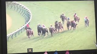 【フリーター競馬実況】2025 京都記念 ヨーホーレイク（岩田望来）