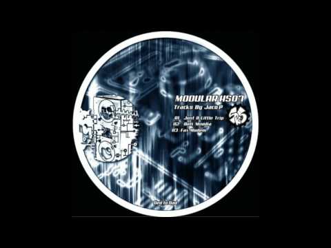 Jaco P - Modular HS07 [A3]