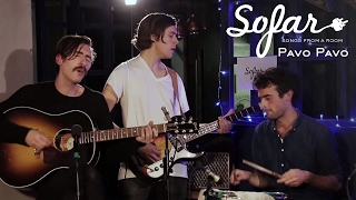 Pavo Pavo - Run Run Run | Sofar London