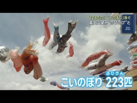 YouTube Video こどもの日を前に２２３匹の色鮮やかなこいのぼりが優雅に大空を泳ぐ　富士山こどもの国