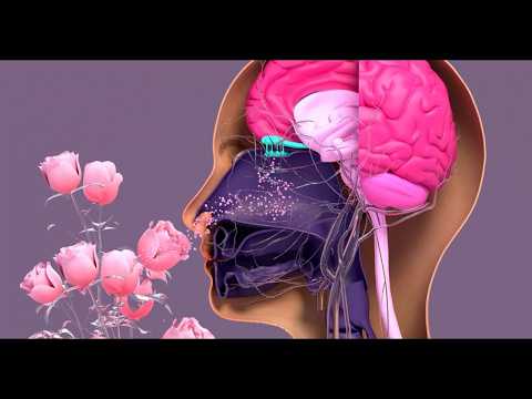 Машина времени 16.02