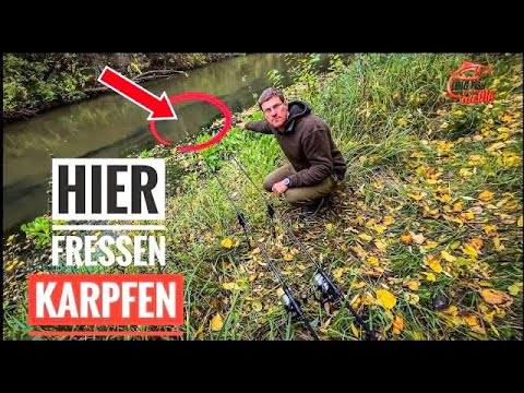In diesem KRAUT-LOCH im Fluss KARPFEN fangen? GREWALD haben’s ausprobiert