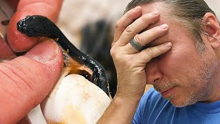 CUTTING SNAKE EGGS...DEAD BABY SNAKES INSIDE... | BRIAN BARCZYK