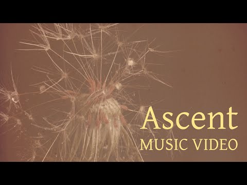 Ascent Art Hirahara Modern Jazz Music Video