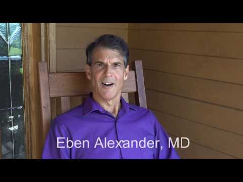 Placebo - Living in a Mindful Universe