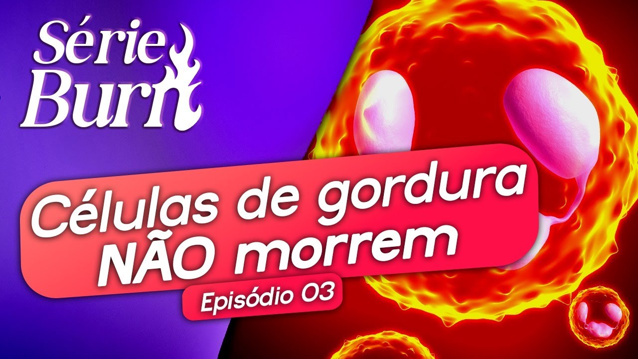 COMO SE LIVRAR DAS CÉLULAS DE GORDURA | Tudo sobre adipócitos e como eliminá-los