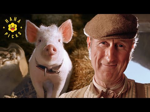 The Farm is Saved | Babe: Pig in the City