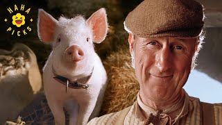 Download lagu The Farm is Saved | Babe: Pig in the City mp3