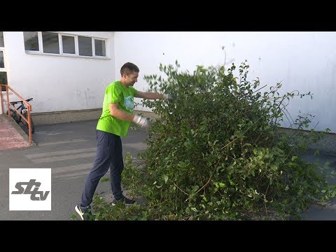 SBTV - SB INFO - VOLONTERSKA AKCIJA '72 SATA BEZ KOMPROMISA' - 19.10.2019.