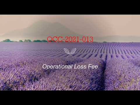 OCC-2021-013 | Equity Recovery / Operational Loss