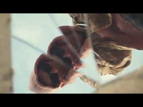 Jone$ Grifa - Shrooms Luv (Prod  by Badxanta)