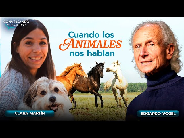 Vídeo relacionado con Cuando los animales nos hablan: Claves neurocientíficas y emocionales para comunicarte con ellos