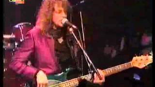 Willy DeVille - Angel Eyes - 1995.avi