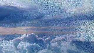 Lilac Wine - Jeff Beck featuring Imelda May - video BiancaMariaCaminiti