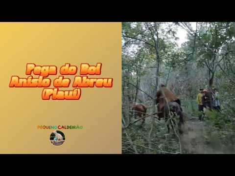 Festa Pega do Boi em Anísio de Abreu | Piauí