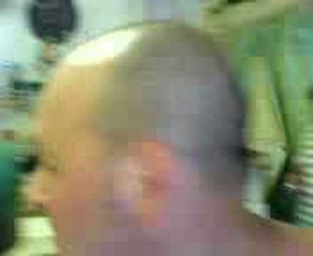 Bonc Csoma - Angyalföldi pálmafák