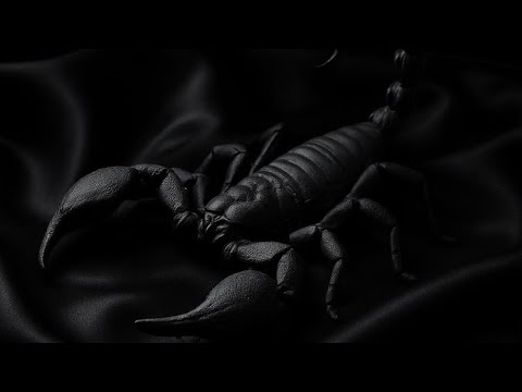 MIKU STREET - ALACRÁN (PROD. RANZIO BEATZ)