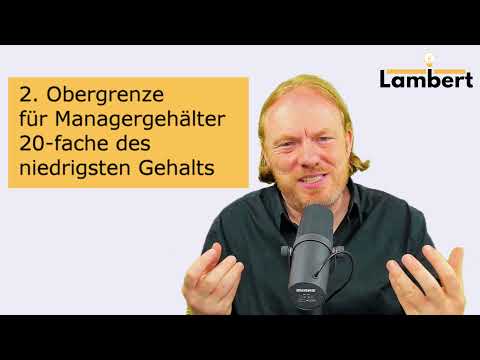 BUNDESTAGSWAHL September 2021 🇩🇪 🇩🇪: DIE LINKE - das PARTEIPROGRAMM. Lambert erklärt Wirtschaft ✅