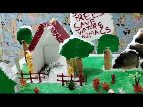 #Importance of Nature #Prasanthi School