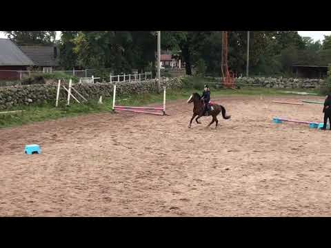 Ella Söderblom på Humla