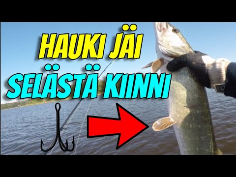 Kesän parhain kalareissu 2021?