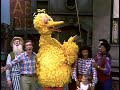 Sesame Street 1706 Big Bird S Going To Camp