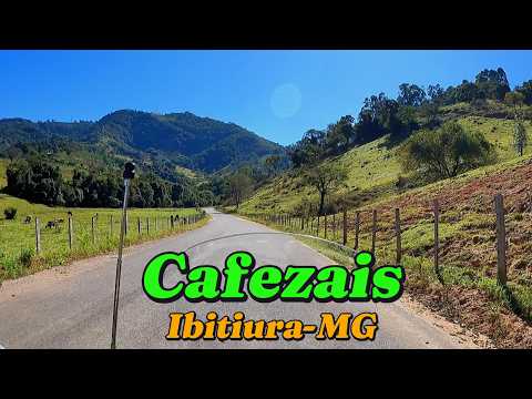 Cafezais de Ibitiura-MG