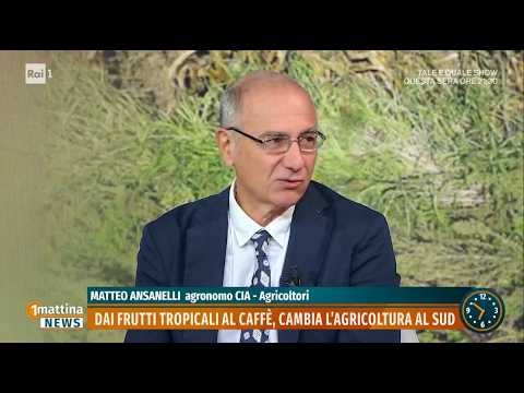 UNOMATTINA - Cambia l'agricoltura al Sud, dai frutti tropicali al caffè. Con Matteo Ansanelli (Cia)