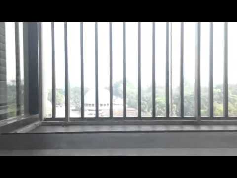 Life of dog(Masturbasion of dog)