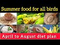 April Best Food For Budgies Lovebirds All Birds Summer Foods Summer Food List For Budgies