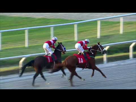 230617 c09 GLORIOSA LILITH