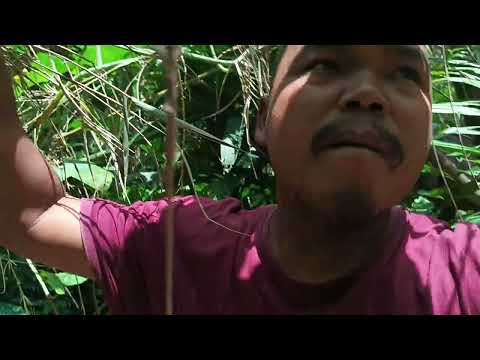 Unlucky Pumpkin 🥹