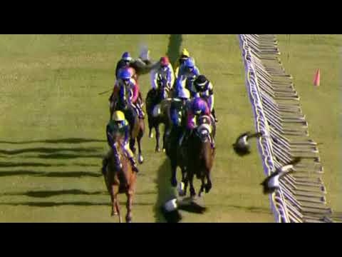 ATYAAB - NEW TURF CARRIERS WESTERN CAPE STAYERS (Grade 2)