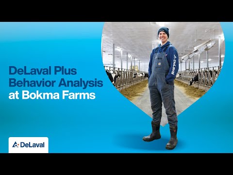 DeLaval Plus Behavior Analysis at Bokma Farms, Nova Scotia, Canada