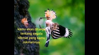 Download lagu Maksud Lagu Tanya Sama HuD HuD M nasir mp3