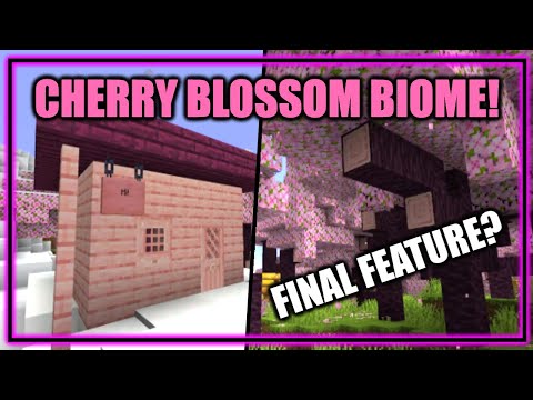EPIC! Insane Cherry Blossom Biome in Minecraft 1.20!!