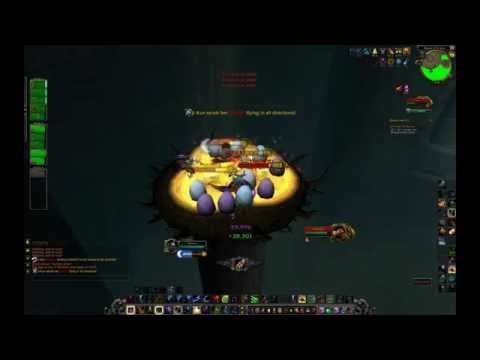 Tranq vs Ji-Kun PTR 10 nh Kill