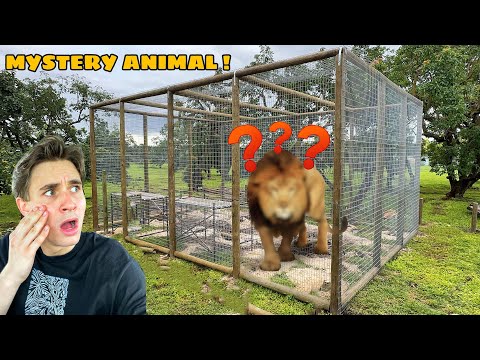 BUILDING HUGE HABITAT FOR *NEW* MYSTERY ZOO ANIMAL !