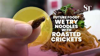 Future food? Tasting noodles with roasted crickets