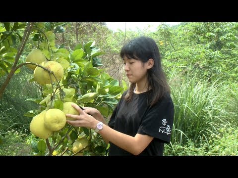 點擊觀看西湖國中導覽員 道出偏鄉之美影音