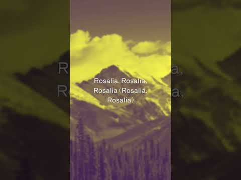 Fedez, Taxi B, RAIZHELL - ROSALÍA (Testo/Lyrics) #fedez #taxib #raizhell #rosalía