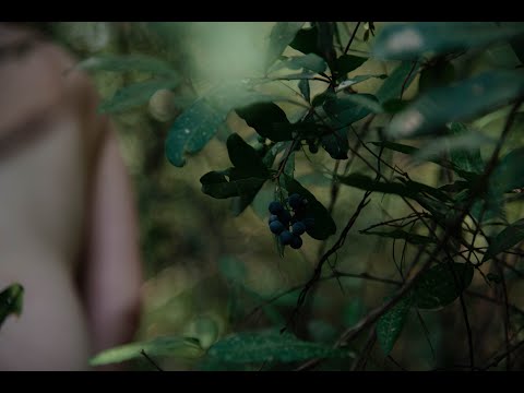 Vydejte společně s nakladatelstvím wo-men knihu Soft o slastech