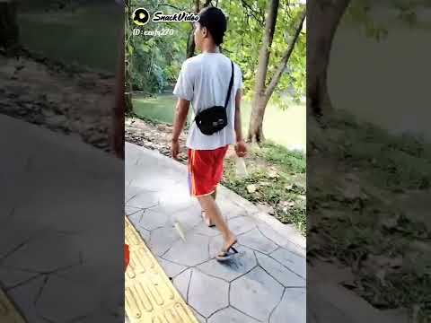 mawar bodas (yayan jatnika)