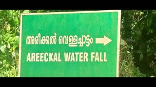 preview picture of video 'Areeckal water fall'