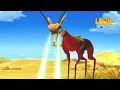 Superman Springbok Leon The Lion 25 Compilation Crazy Animals