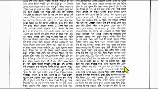 חידושי רב חיים מבריסק על הרמב"ם - הלכות ביכורים (חלה) (שיעורי הדף היומי בקצרה מאת הרב אורי בריליאנט) - התמונה מוצגת ישירות מתוך אתר האינטרנט יוטיוב. זכויות היוצרים בתמונה שייכות ליוצרה. קישור קרדיט למקור התוכן נמצא בתוך דף הסרטון