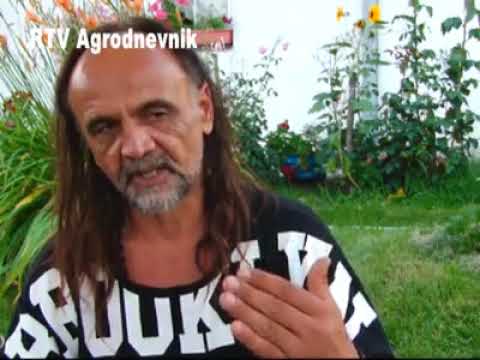 Radoslav Catic posted a video to his timeline