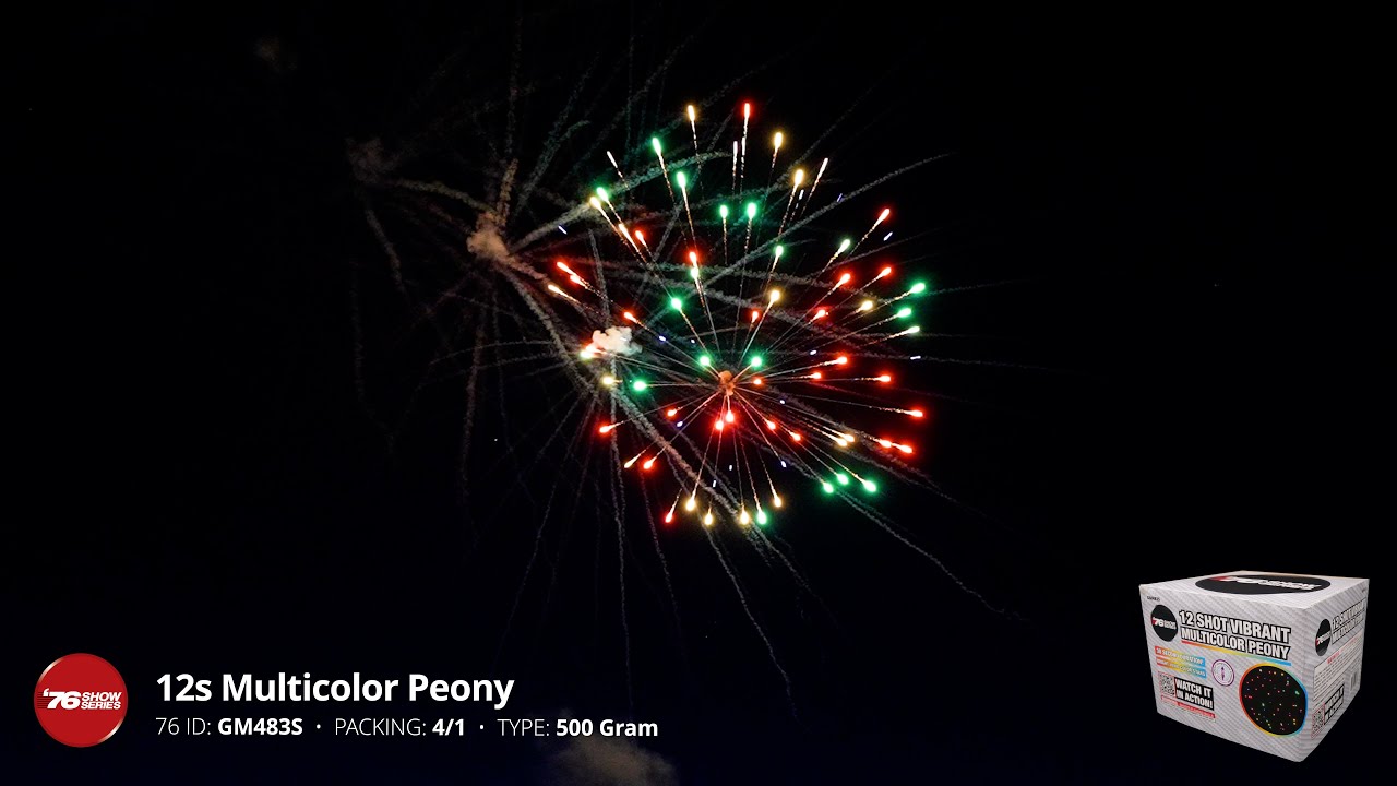 12s Multicolor Peony (30sec)